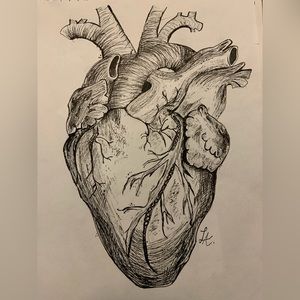 Heart